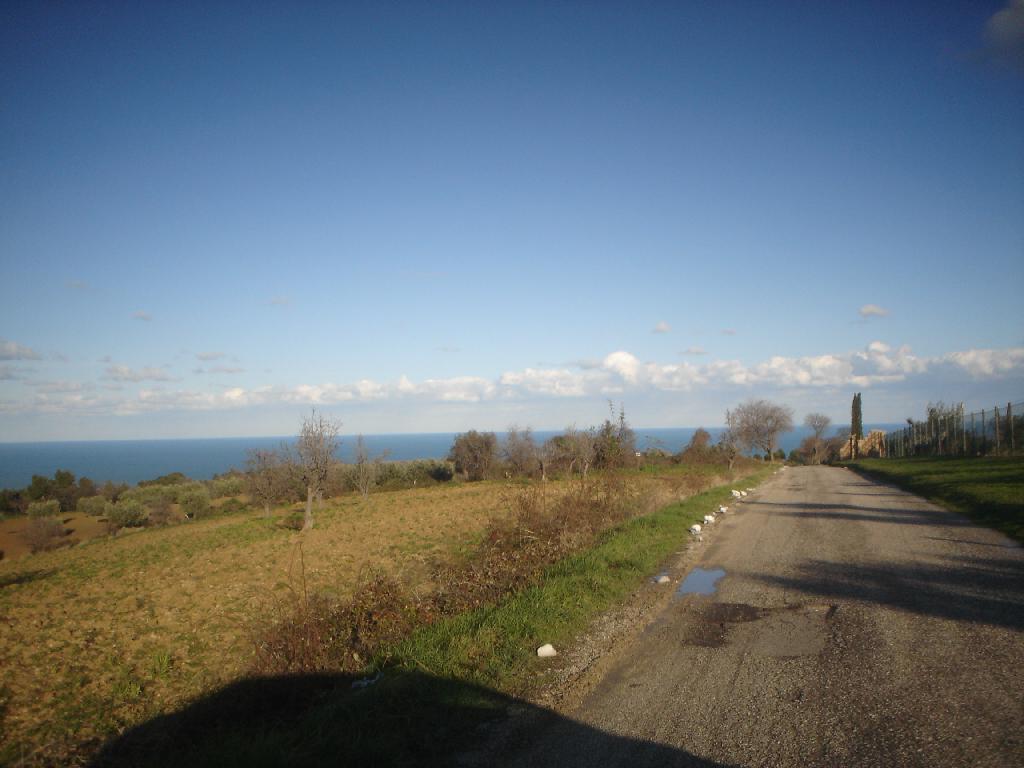 #LA TERRA DELLE PERE/ARCHE 619