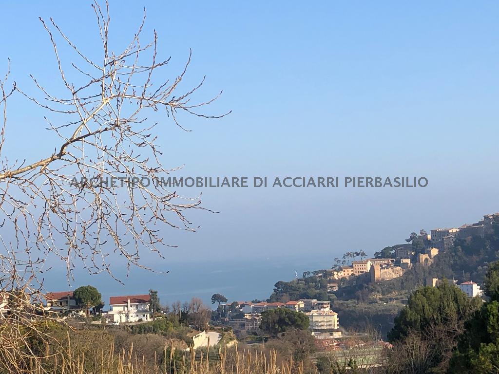 #LA TERRA DEI LIMONI/ RIF 154