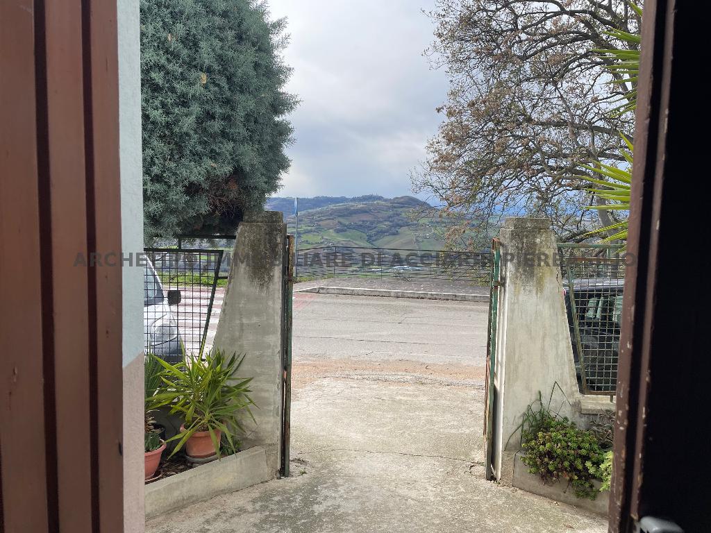 #IL TULIPANO - MASSIGNANO CENTRO/RIF 264