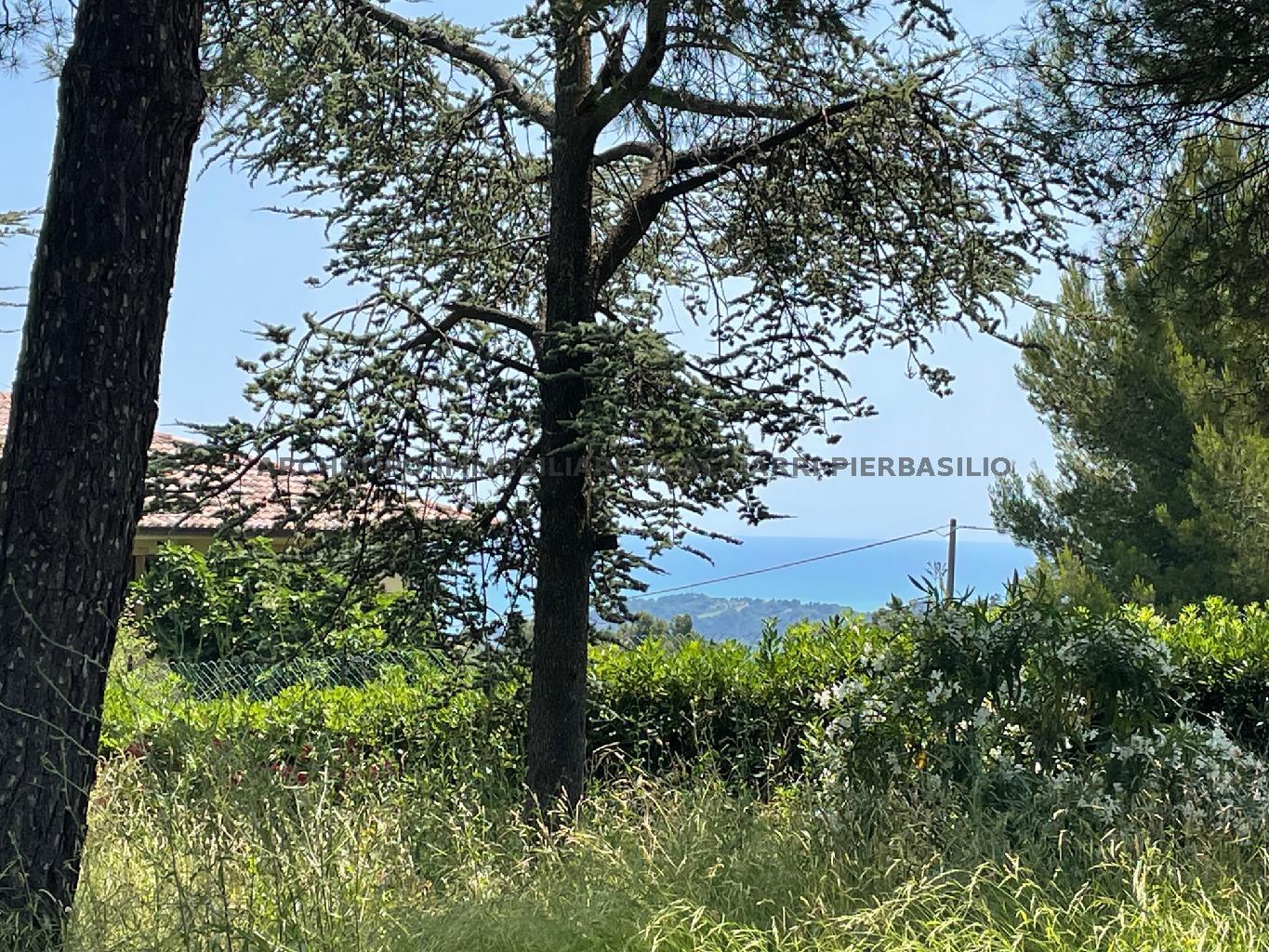 LA REGINETTA DEL MARE/RIF 278  SALE RIPATRANSONE