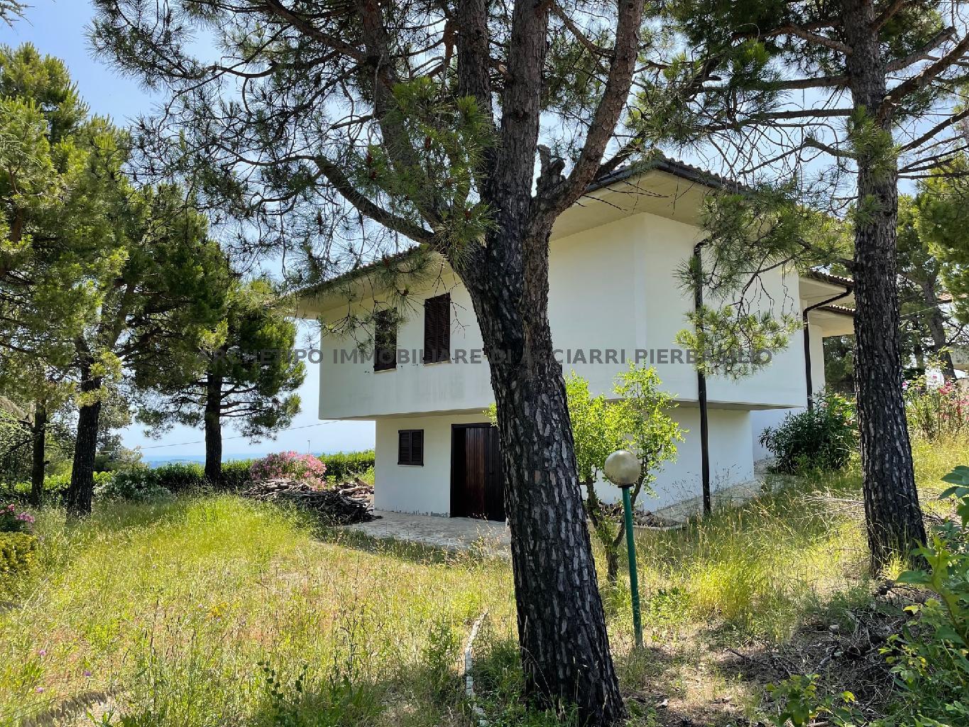 LA REGINETTA DEL MARE/RIF 278  SALE RIPATRANSONE