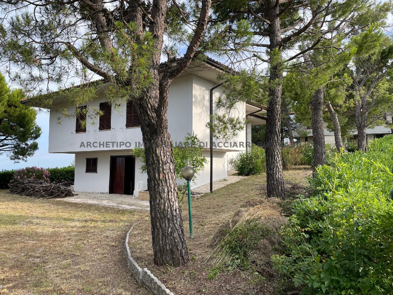 LA REGINETTA DEL MARE/RIF 278  SALE RIPATRANSONE