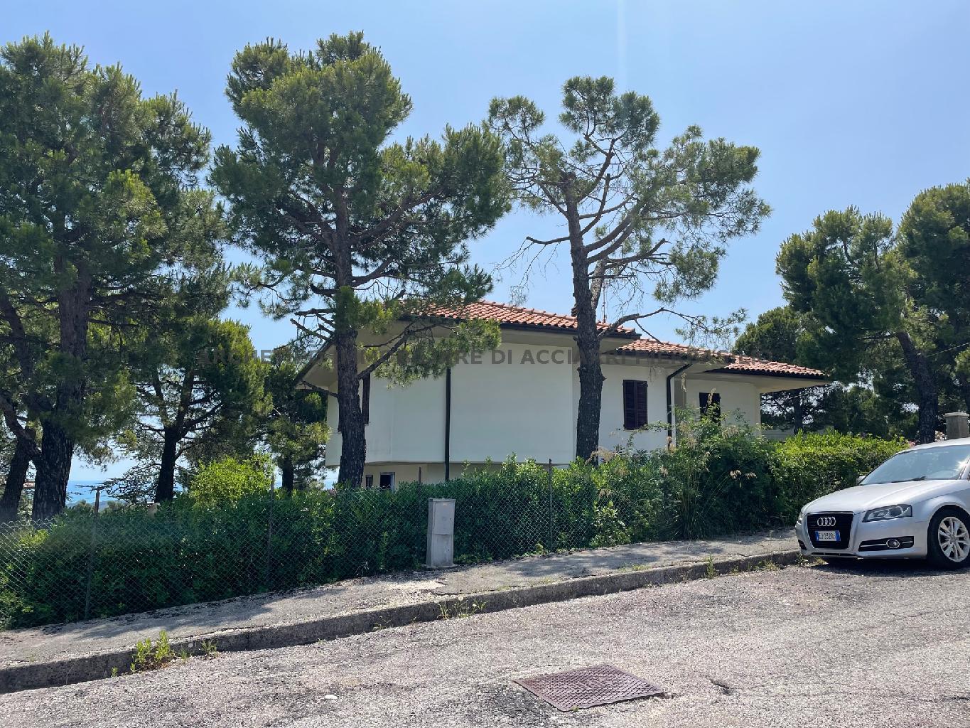 #LA REGINETTA DEL MARE/RIF 278