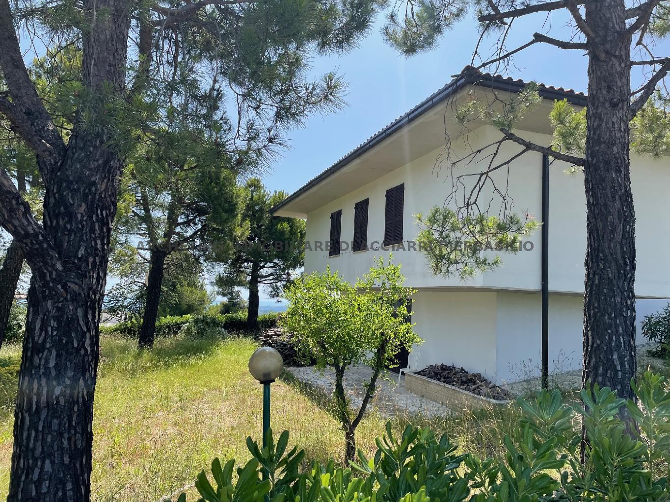 LA REGINETTA DEL MARE/RIF 278  SALE RIPATRANSONE
