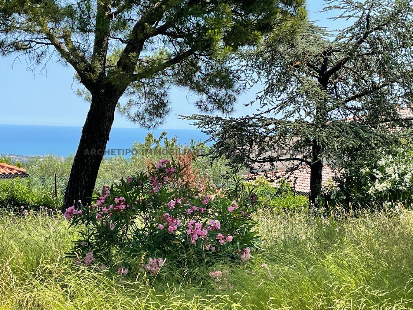 LA REGINETTA DEL MARE/RIF 278  SALE RIPATRANSONE