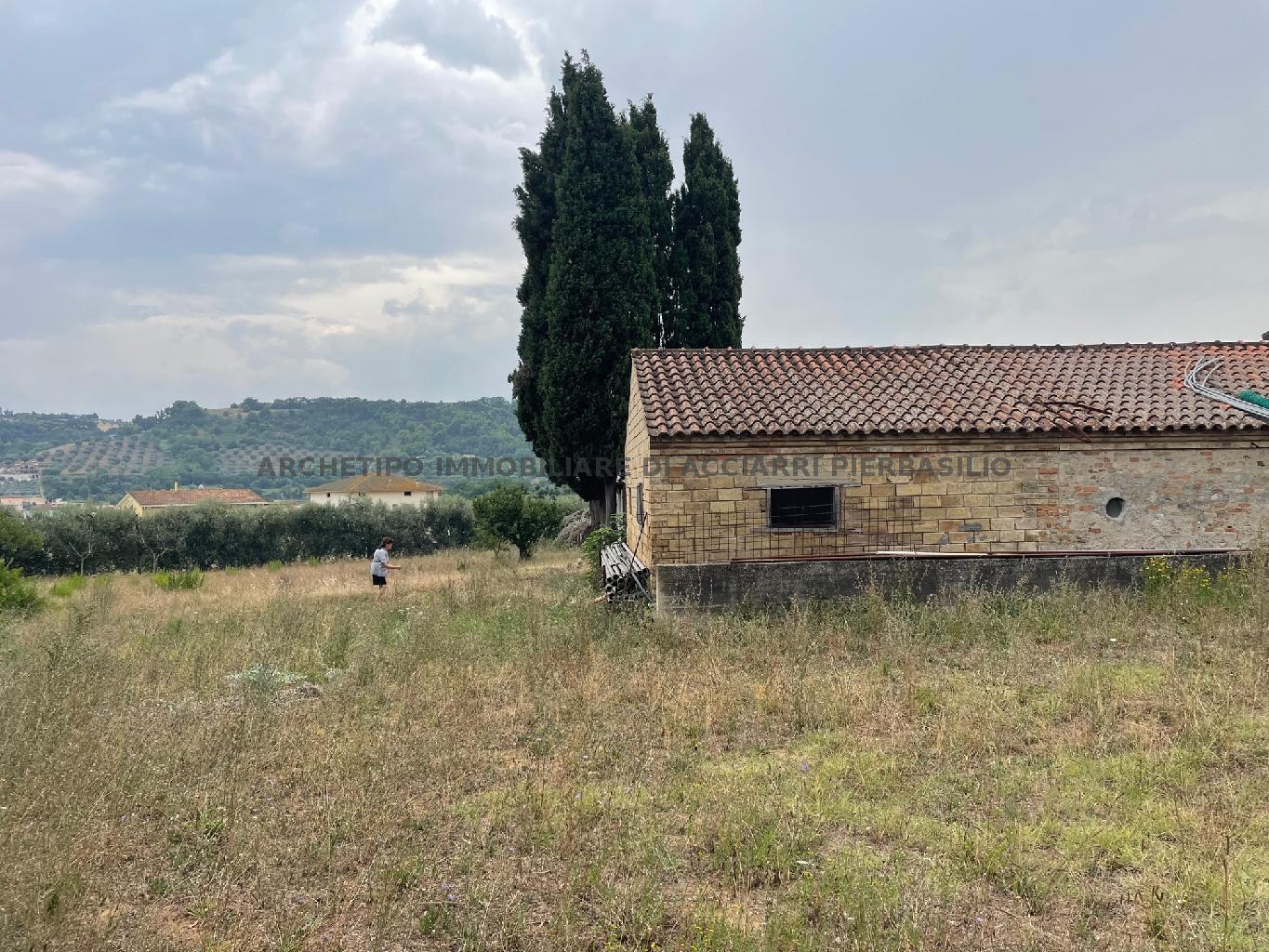 #LA TERRA DI ORNELLA - CUPRA ZONA MARE/RIF 283