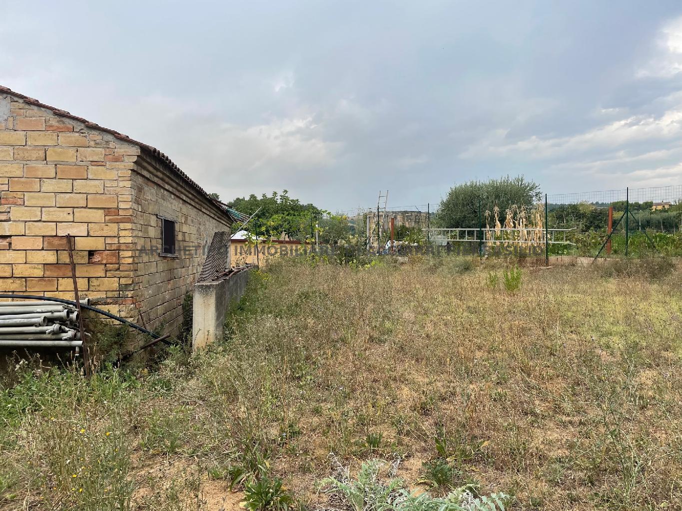 LA TERRA DI ORNELLA - CUPRA ZONA MARE/RIF 283  VENDITA CUPRA MARITTIMA