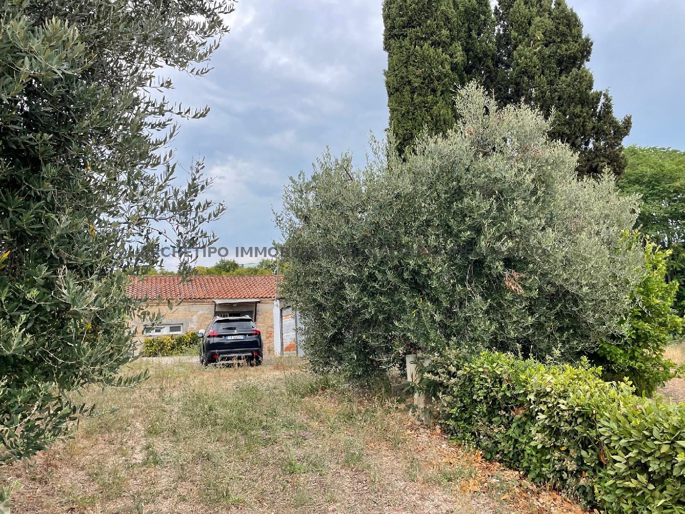LA TERRA DI ORNELLA - CUPRA ZONA MARE/RIF 283  VENDITA CUPRA MARITTIMA