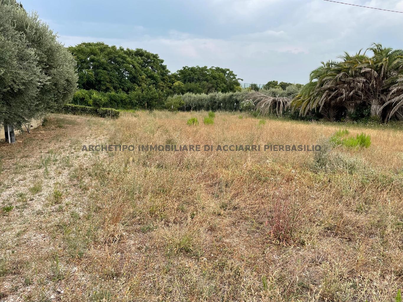 LA TERRA DI ORNELLA - CUPRA ZONA MARE/RIF 283  VENDITA CUPRA MARITTIMA