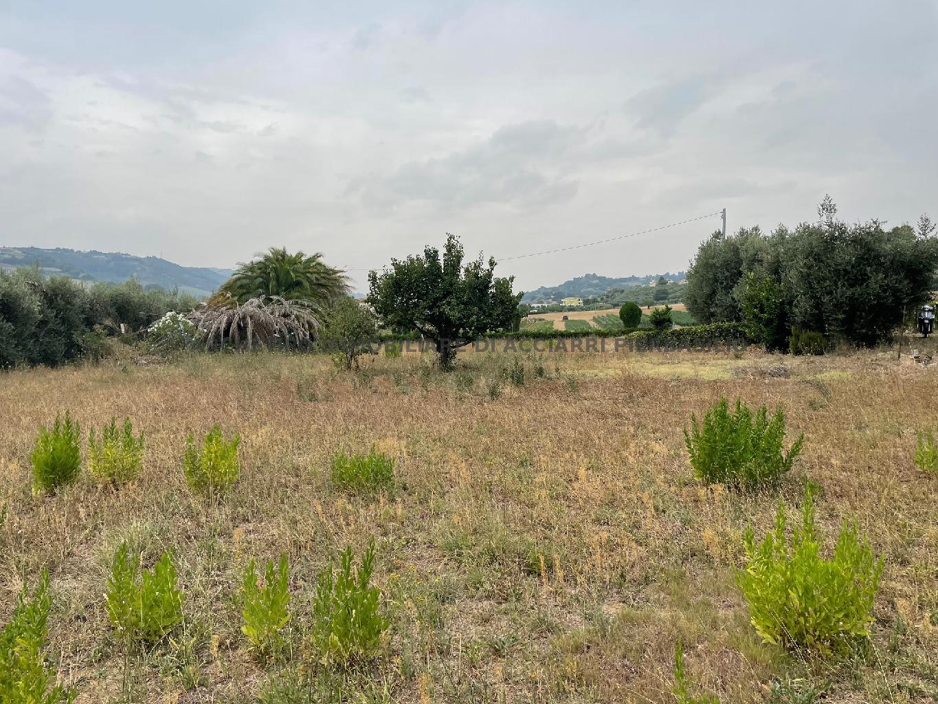 LA TERRA DI ORNELLA - CUPRA ZONA MARE/RIF 283  VENDITA CUPRA MARITTIMA