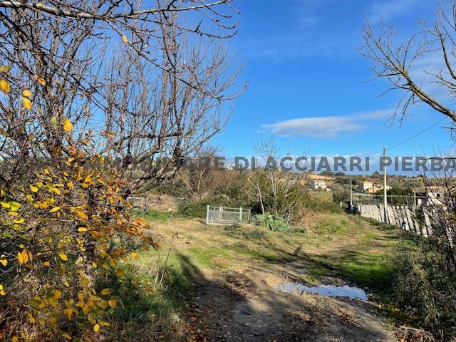 #LA TERRA LUNGO I SANTI/RIF 291