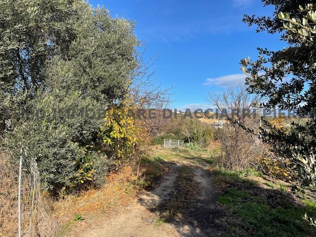 LA TERRA LUNGO I SANTI/RIF 291  SALE MASSIGNANO