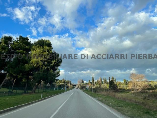 LA TERRA LUNGO I SANTI/RIF 291  SALE MASSIGNANO