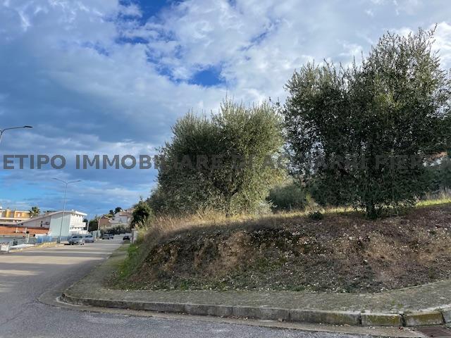 UN SOGNO NEL VERDE - LOTTO EDIFICABILE CUPRA/RIF 292 TERRENO VENDITA CUPRA MARITTIMA2