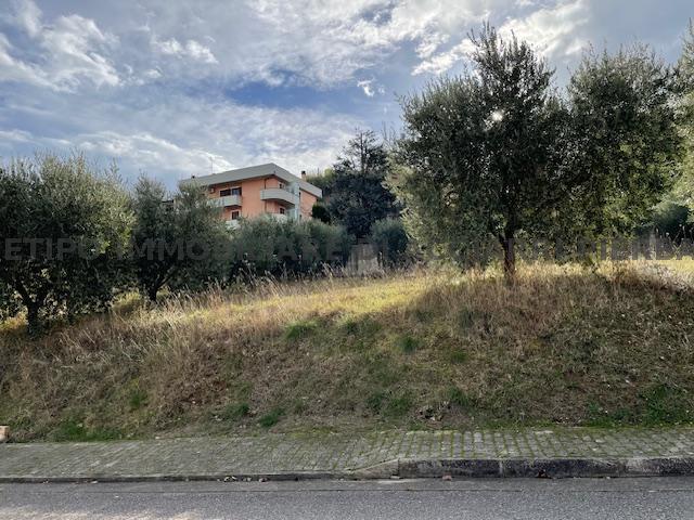 UN SOGNO NEL VERDE - LOTTO EDIFICABILE CUPRA/RIF 292 TERRENO VENDITA CUPRA MARITTIMA3