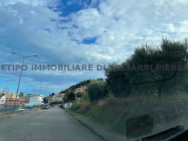 UN SOGNO NEL VERDE - LOTTO EDIFICABILE CUPRA/RIF 292 TERRENO VENDITA CUPRA MARITTIMA4