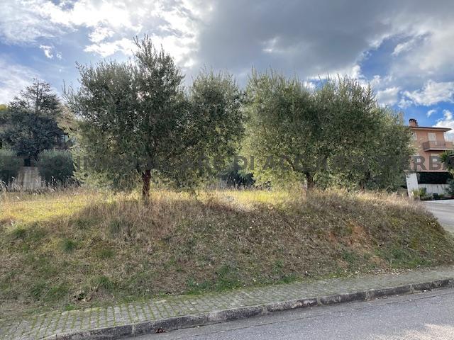 #UN SOGNO NEL VERDE - LOTTO EDIFICABILE CUPRA/RIF 292