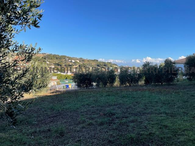 UN SOGNO NEL VERDE - LOTTO EDIFICABILE CUPRA/RIF 292 TERRENO VENDITA CUPRA MARITTIMA5
