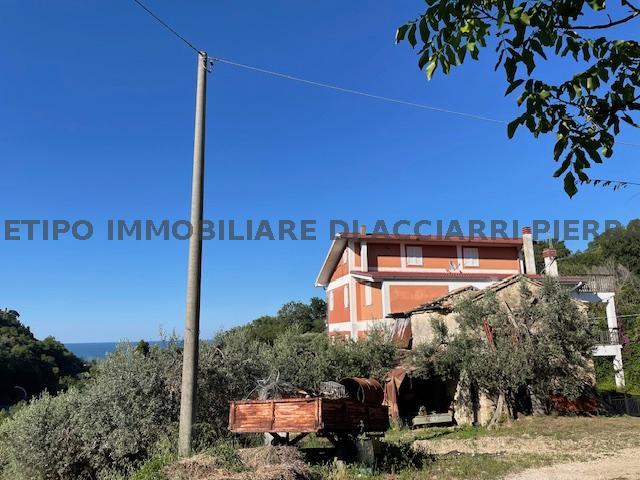 #IL LUPO DI MARE - CASALE SUL MARE - CUPRA/RIF 303