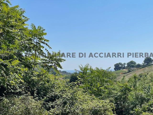 CAMPOFILONE /RUF 306 FARMHOUSE SALE CAMPOFILONE4