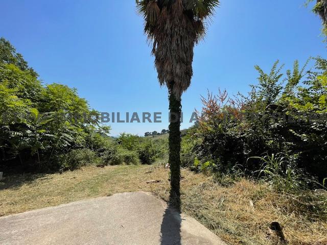 CAMPOFILONE /RUF 306 FARMHOUSE SALE CAMPOFILONE5