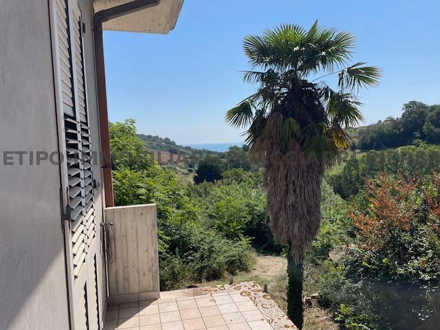 CAMPOFILONE /RUF 306 FARMHOUSE SALE CAMPOFILONE8