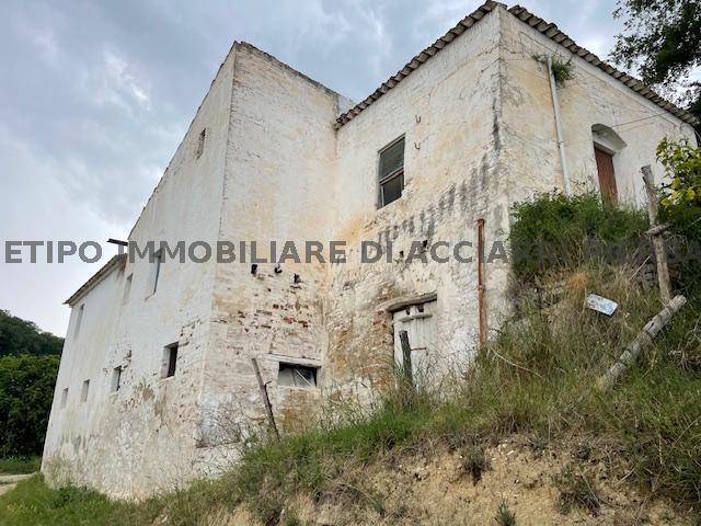 CUPRA - CASALE BIANCOLILLA/RIF 307  VENDITA CUPRA MARITTIMA
