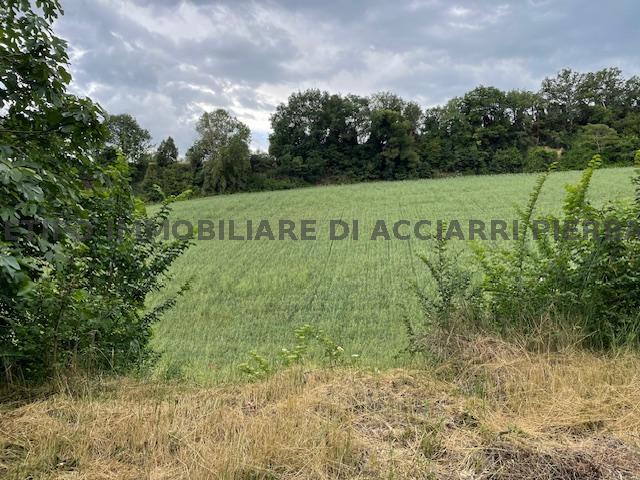CUPRA - CASALE BIANCOLILLA/RIF 307  VENDITA CUPRA MARITTIMA