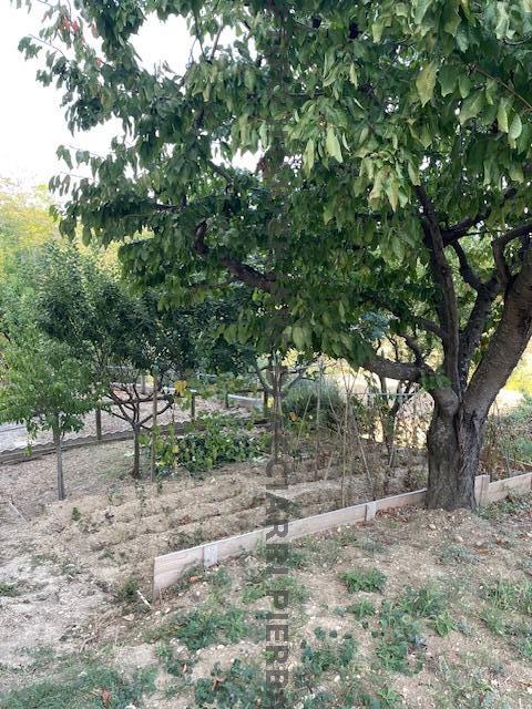 RIPA  MON AMOUR/RIF 313 APARTMENT SALE RIPATRANSONE13
