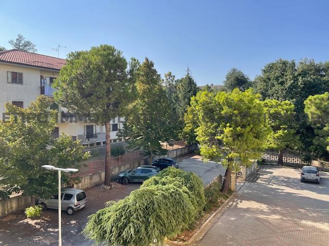 RIPA  MON AMOUR/RIF 313 APARTMENT SALE RIPATRANSONE5