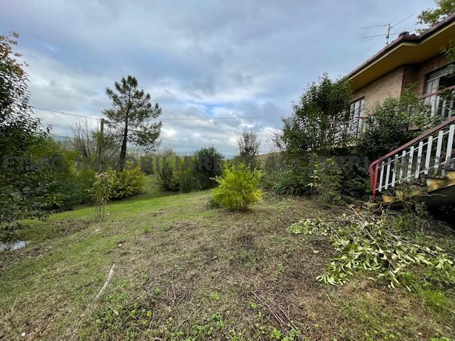 VAL MENOCCHIA - LA ROMANTICA/RIF 317  SALE CARASSAI