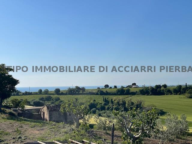 LA CALENDULA - MARINA DI MASSIGNANO/RIF 324  SALE MASSIGNANO