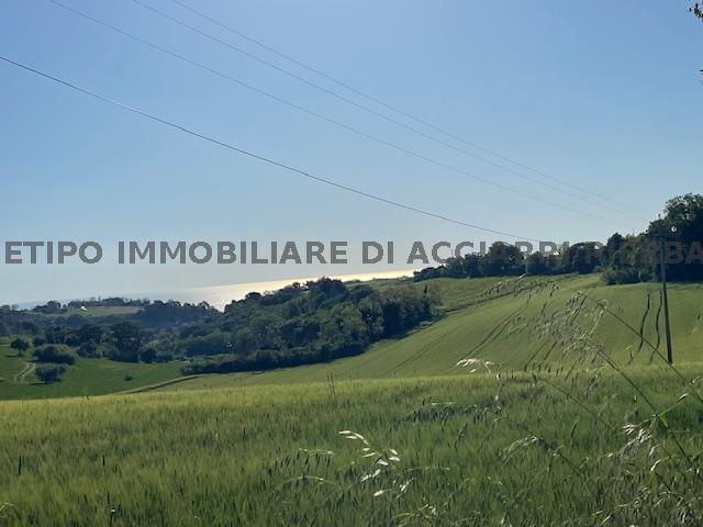 LA CALENDULA - MARINA DI MASSIGNANO/RIF 324  SALE MASSIGNANO