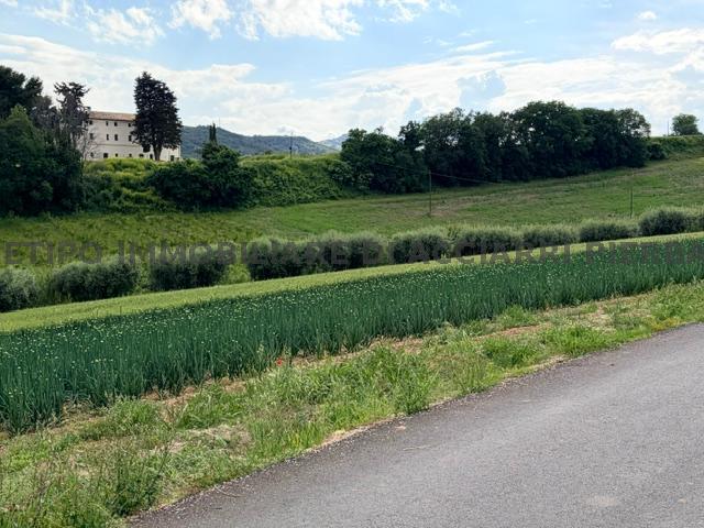 LA TERRA DEL PEP - CUPRA  VENDITA CUPRA MARITTIMA