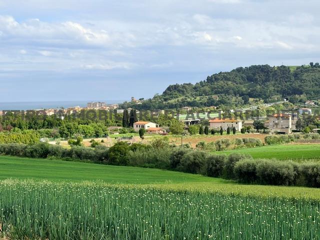 LA TERRA DEL PEP - CUPRA  VENDITA CUPRA MARITTIMA