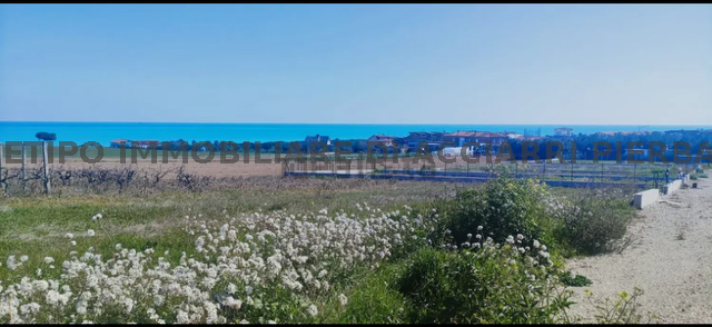 LA TERRA DI FABIO  SALE CUPRA MARITTIMA