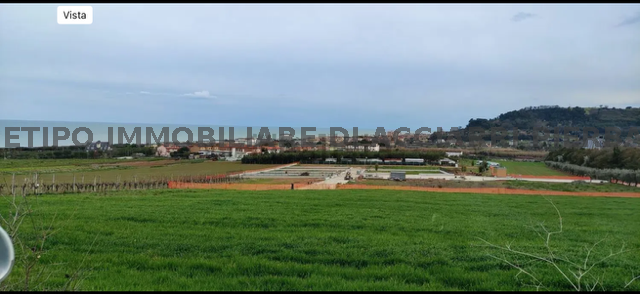 LA TERRA DI FABIO  SALE CUPRA MARITTIMA