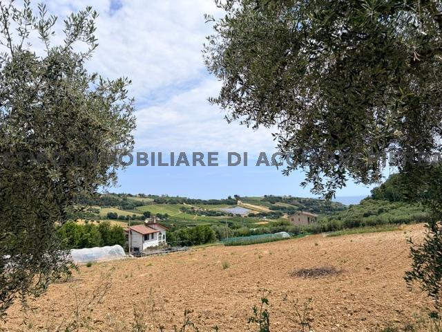 CAMPOFILONE - /RIF 356  VENDITA CAMPOFILONE