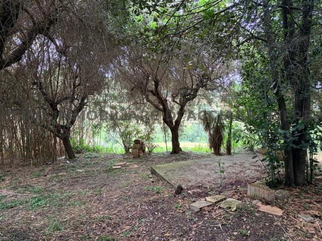 CAMPOFILONE - /RIF 356  VENDITA CAMPOFILONE